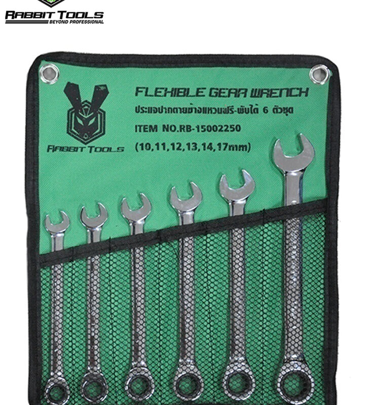 Gear-Ratchet-Combination-Spanner-Set-077-77